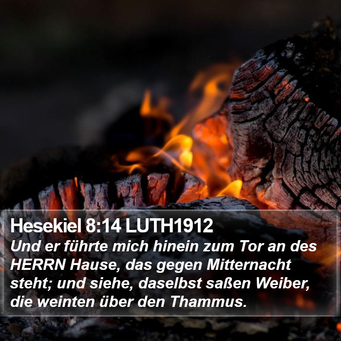 Hesekiel 8:14 LUTH1912 Bible Study