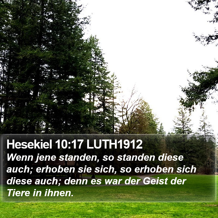 Hesekiel 10:17 LUTH1912 Bible Study