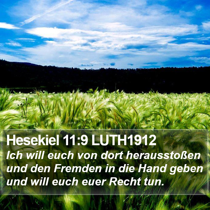 Hesekiel 11:9 LUTH1912 Bible Study
