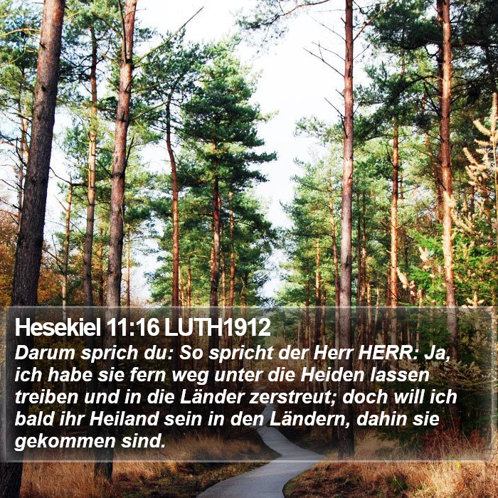 Hesekiel 11:16 LUTH1912 Bible Study