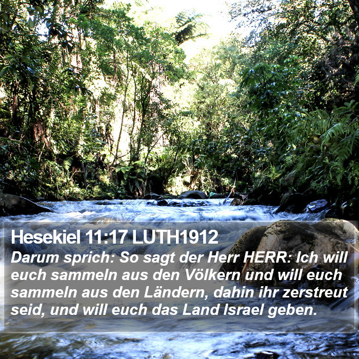 Hesekiel 11:17 LUTH1912 Bible Study