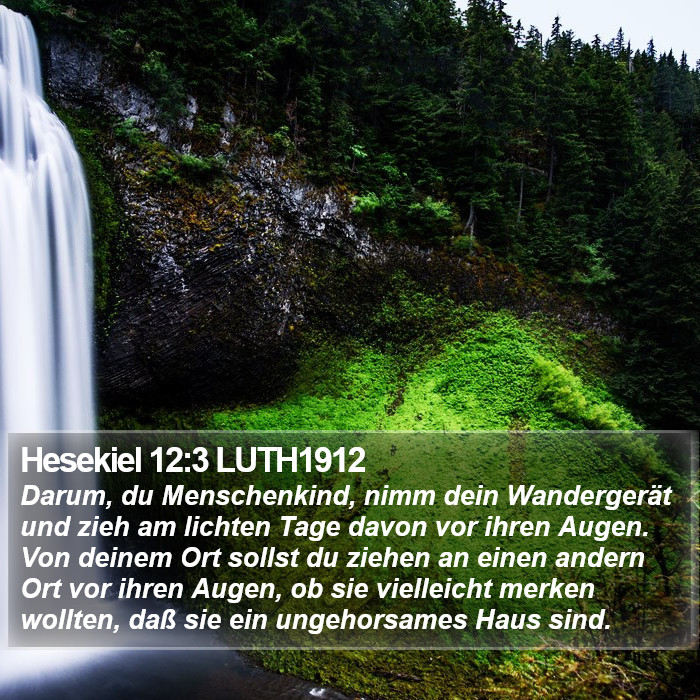 Hesekiel 12:3 LUTH1912 Bible Study