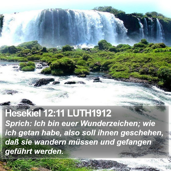 Hesekiel 12:11 LUTH1912 Bible Study