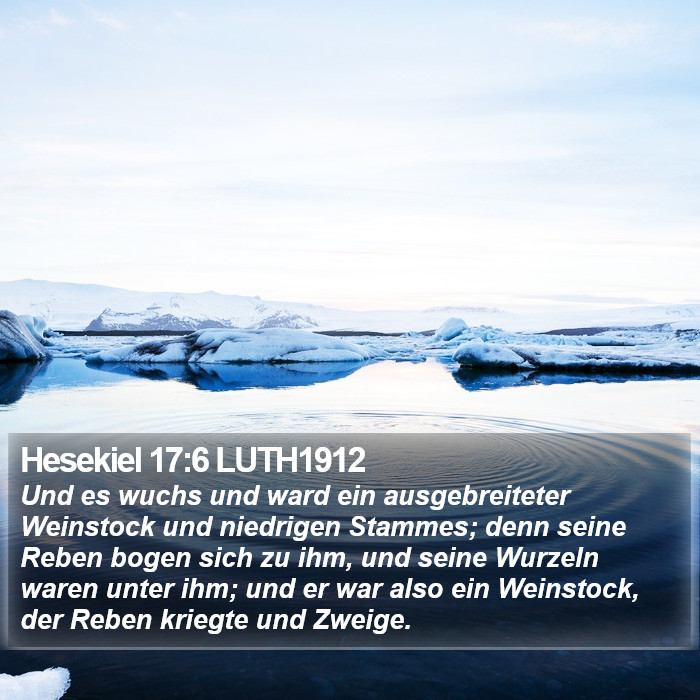 Hesekiel 17:6 LUTH1912 Bible Study