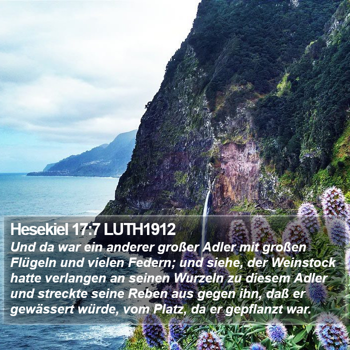 Hesekiel 17:7 LUTH1912 Bible Study