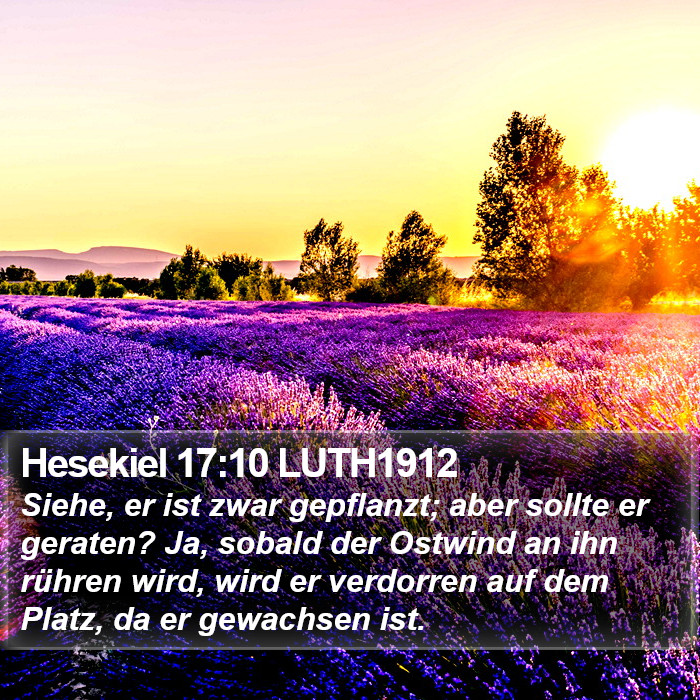 Hesekiel 17:10 LUTH1912 Bible Study