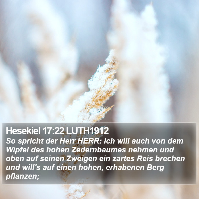 Hesekiel 17:22 LUTH1912 Bible Study