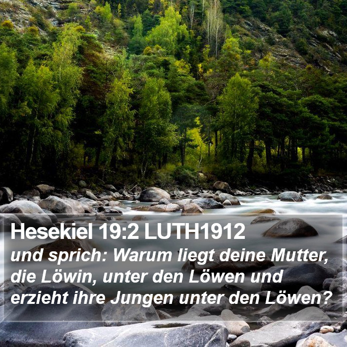 Hesekiel 19:2 LUTH1912 Bible Study