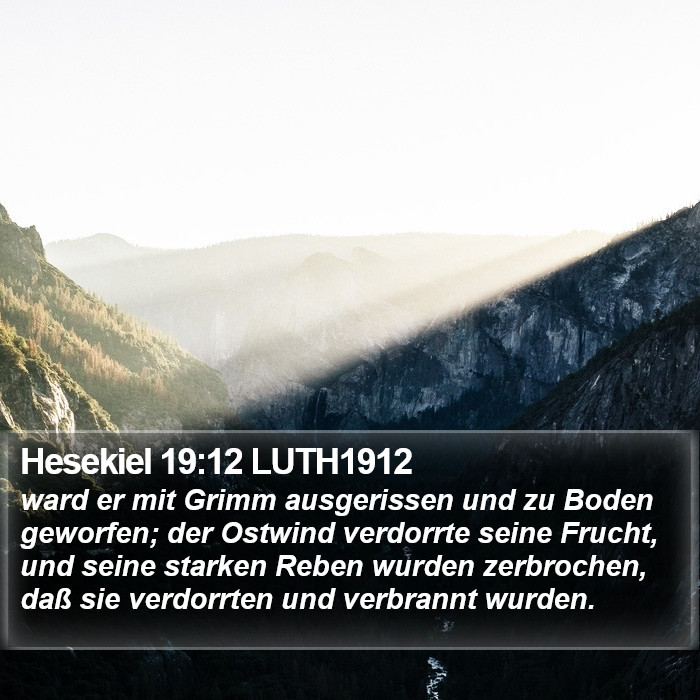 Hesekiel 19:12 LUTH1912 Bible Study