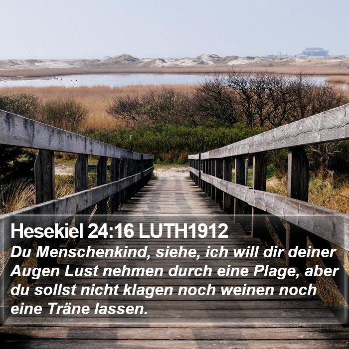 Hesekiel 24:16 LUTH1912 Bible Study