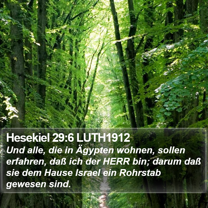 Hesekiel 29:6 LUTH1912 Bible Study