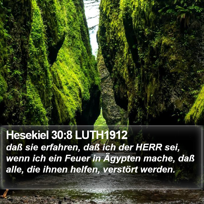 Hesekiel 30:8 LUTH1912 Bible Study