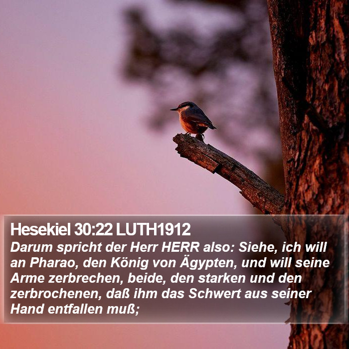 Hesekiel 30:22 LUTH1912 Bible Study