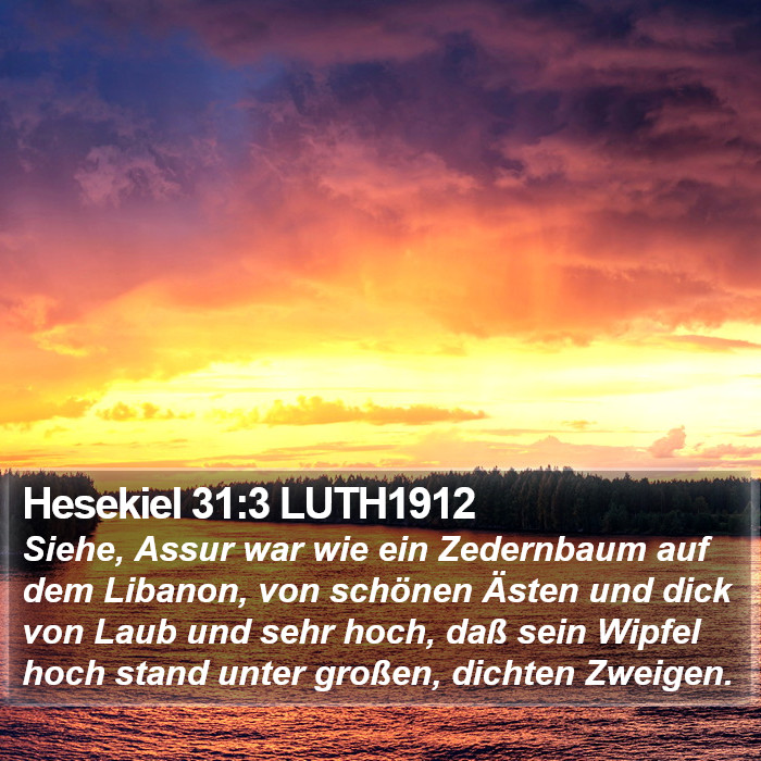 Hesekiel 31:3 LUTH1912 Bible Study