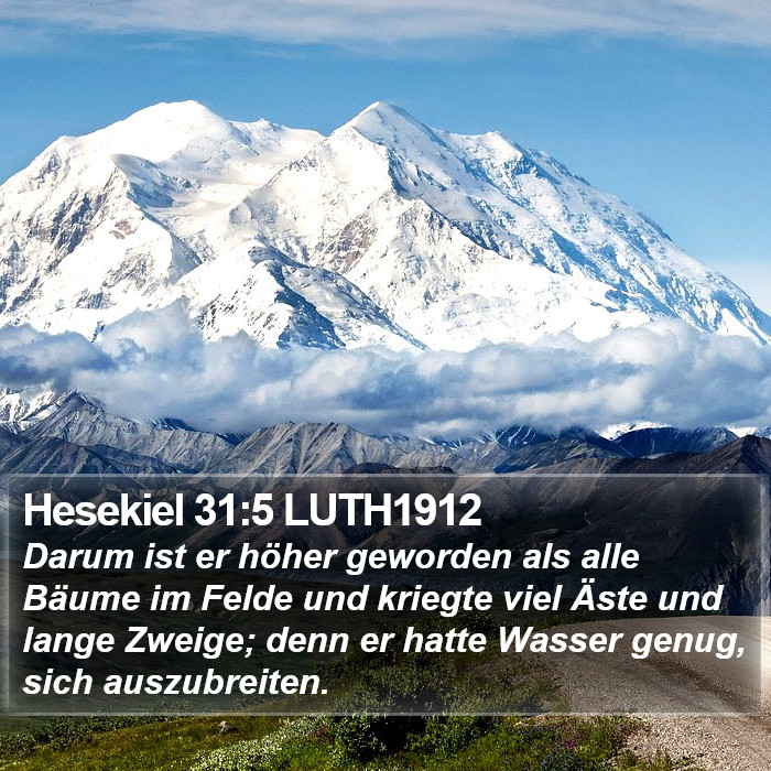 Hesekiel 31:5 LUTH1912 Bible Study