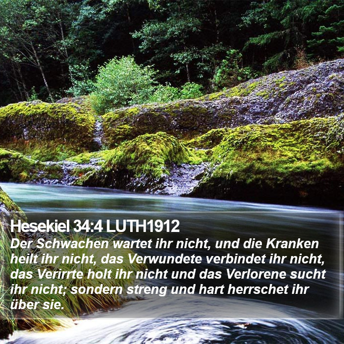 Hesekiel 34:4 LUTH1912 Bible Study