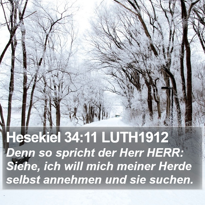 Hesekiel 34:11 LUTH1912 Bible Study