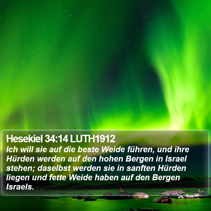 Hesekiel 34:14 LUTH1912 Bible Study