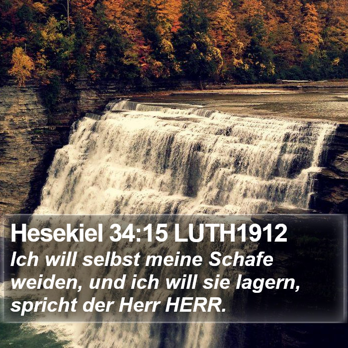 Hesekiel 34:15 LUTH1912 Bible Study