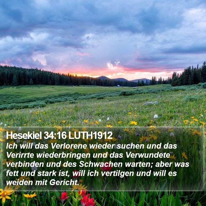 Hesekiel 34:16 LUTH1912 Bible Study