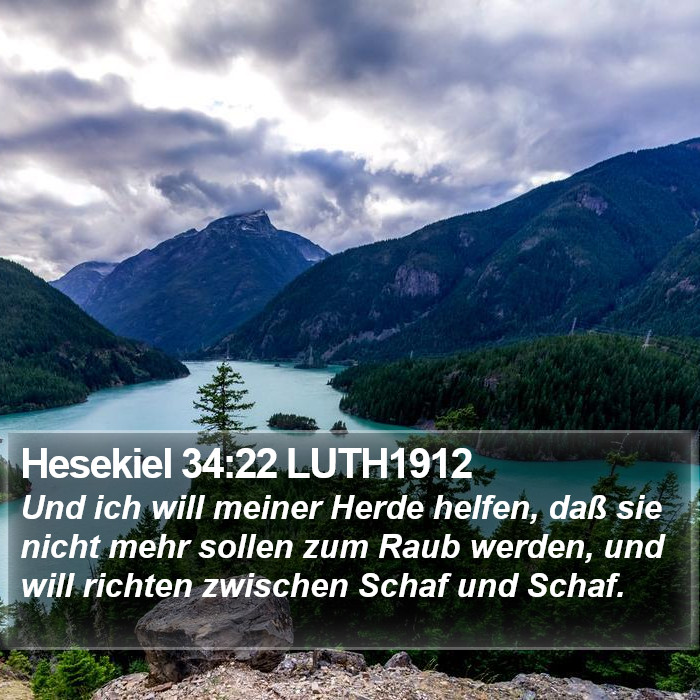 Hesekiel 34:22 LUTH1912 Bible Study