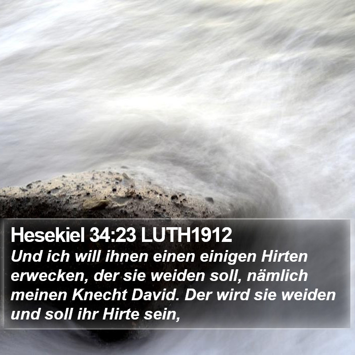 Hesekiel 34:23 LUTH1912 Bible Study