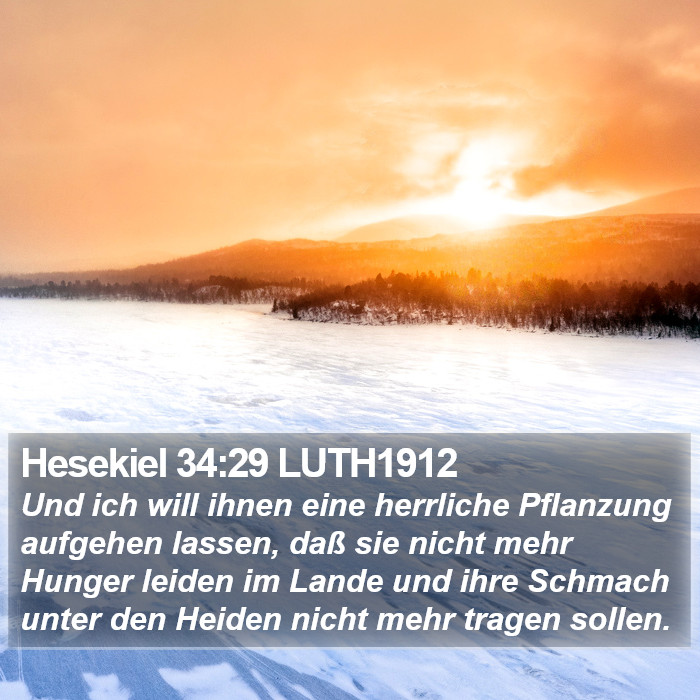 Hesekiel 34:29 LUTH1912 Bible Study