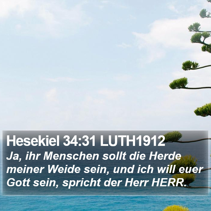 Hesekiel 34:31 LUTH1912 Bible Study