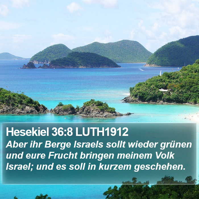 Hesekiel 36:8 LUTH1912 Bible Study