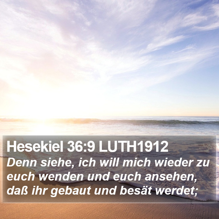 Hesekiel 36:9 LUTH1912 Bible Study