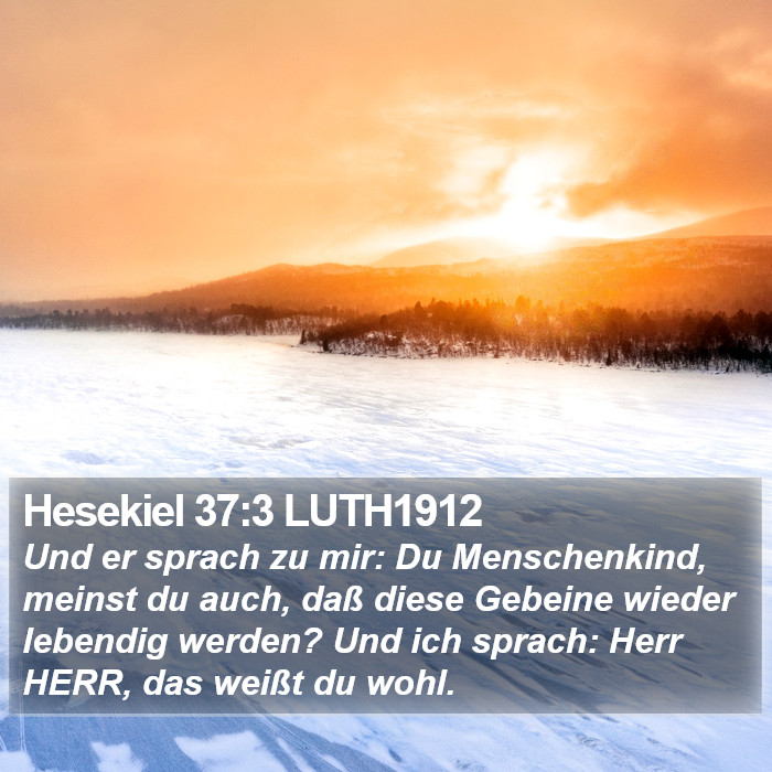 Hesekiel 37:3 LUTH1912 Bible Study