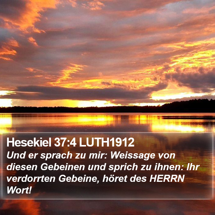 Hesekiel 37:4 LUTH1912 Bible Study