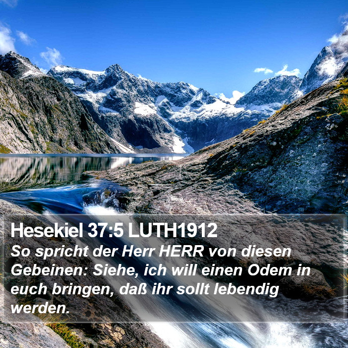 Hesekiel 37:5 LUTH1912 Bible Study