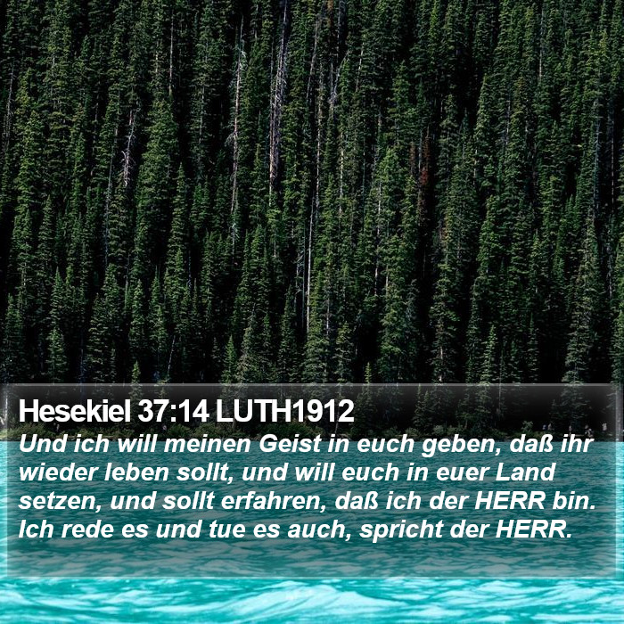 Hesekiel 37:14 LUTH1912 Bible Study