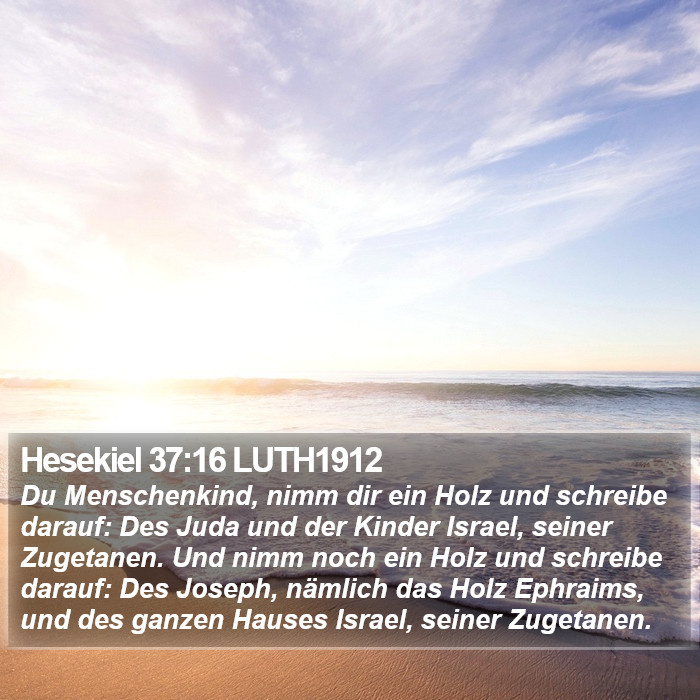 Hesekiel 37:16 LUTH1912 Bible Study