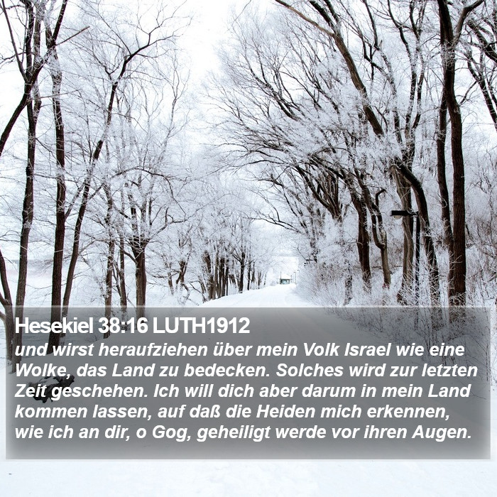 Hesekiel 38:16 LUTH1912 Bible Study