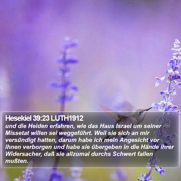 Hesekiel 39:23 LUTH1912 Bible Study