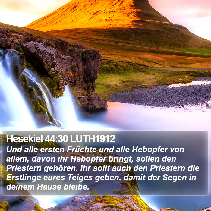 Hesekiel 44:30 LUTH1912 Bible Study