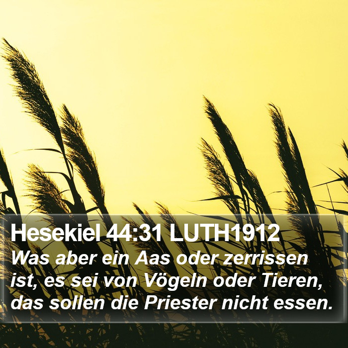 Hesekiel 44:31 LUTH1912 Bible Study