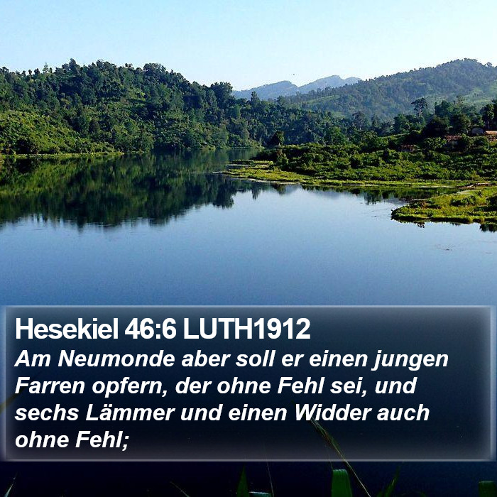 Hesekiel 46:6 LUTH1912 Bible Study