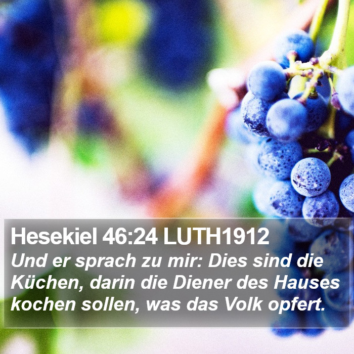 Hesekiel 46:24 LUTH1912 Bible Study