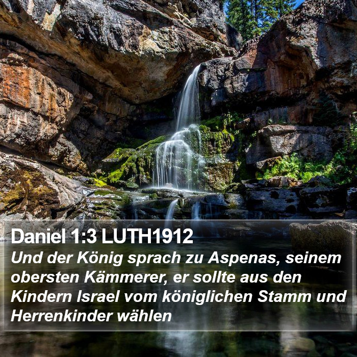 Daniel 1:3 LUTH1912 Bible Study