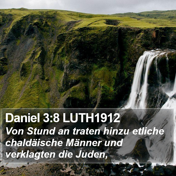 Daniel 3:8 LUTH1912 Bible Study