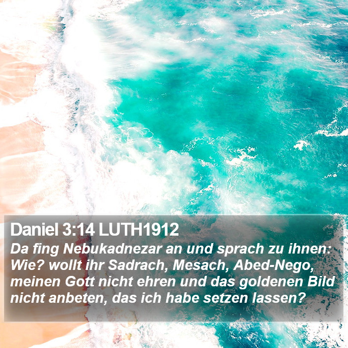 Daniel 3:14 LUTH1912 Bible Study