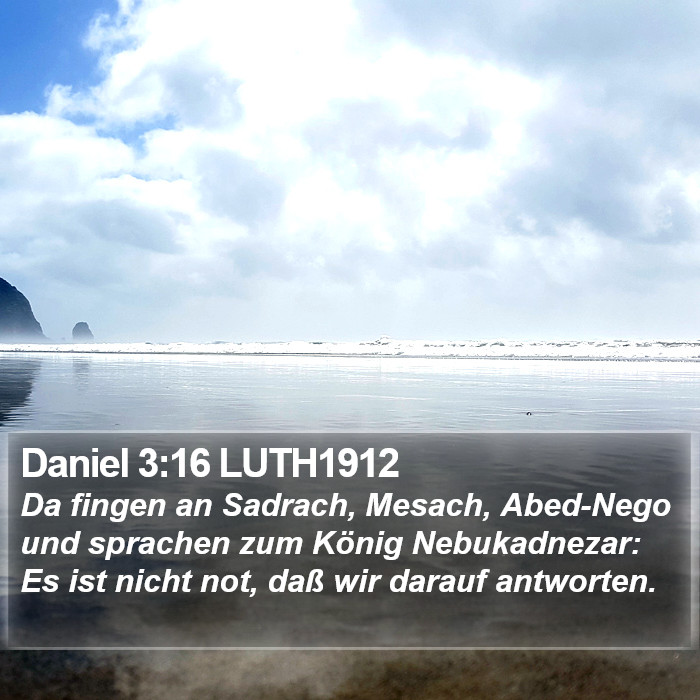 Daniel 3:16 LUTH1912 Bible Study