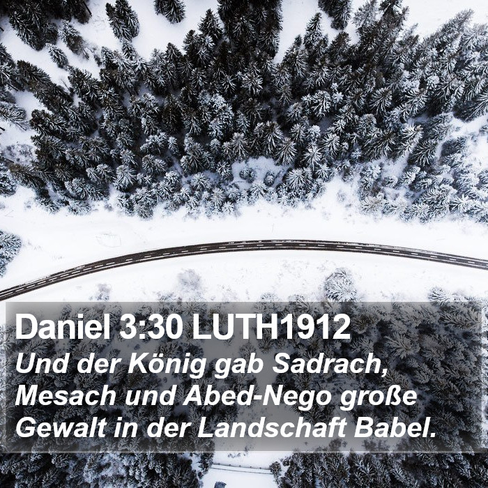 Daniel 3:30 LUTH1912 Bible Study