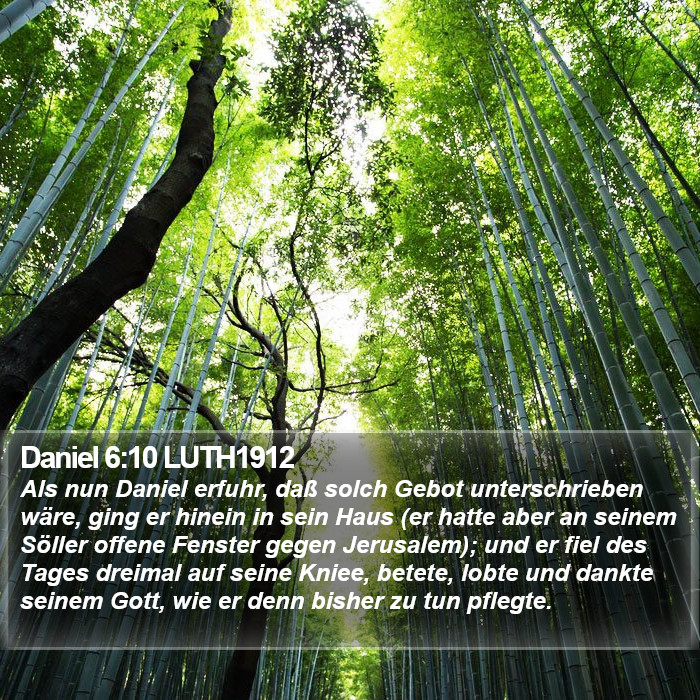 Daniel 6:10 LUTH1912 Bible Study