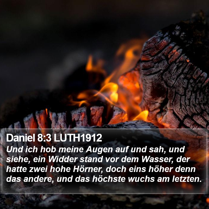 Daniel 8:3 LUTH1912 Bible Study