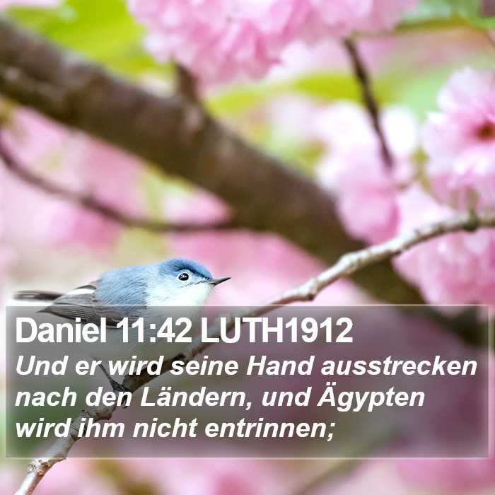 Daniel 11:42 LUTH1912 Bible Study