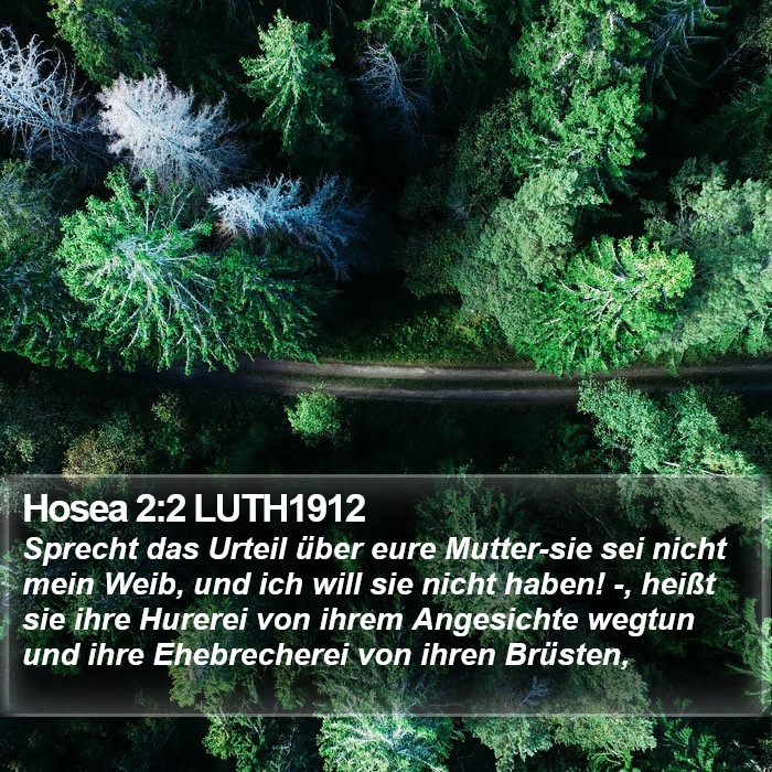 Hosea 2:2 LUTH1912 Bible Study